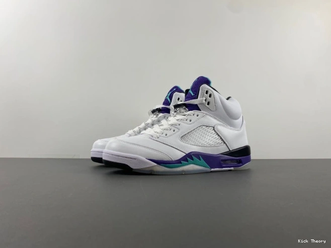 Kicktheory Jordan Air 136027-108 Retro Grape (2013) 5 0704